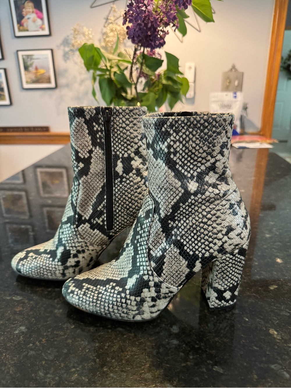 Aldo Snake-Print Ankle Boots - Black & White